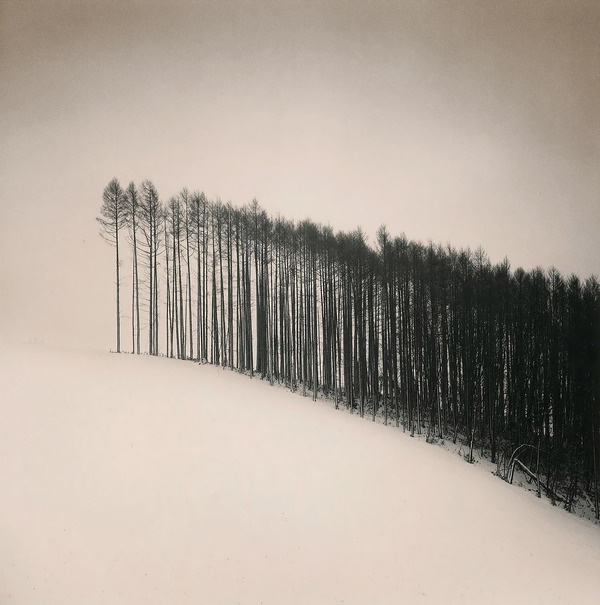 Michael Kenna, Forest Edge, Hokuto, Hokkaido, Japan, 2004via melisaki #white #black #and #forest #trees #winter
