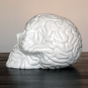 Skull Brain by Emilio Garcia #art