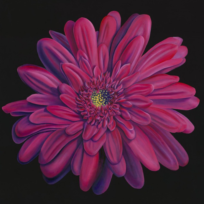 daisy painting & daisy paint by number #painting