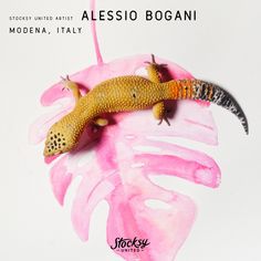 Stocksy United Artist: Alessio Bogani, Modena, Italy