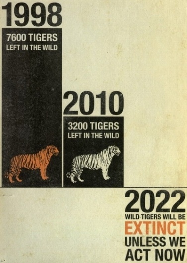 a little ship of dreams #tigers #poster