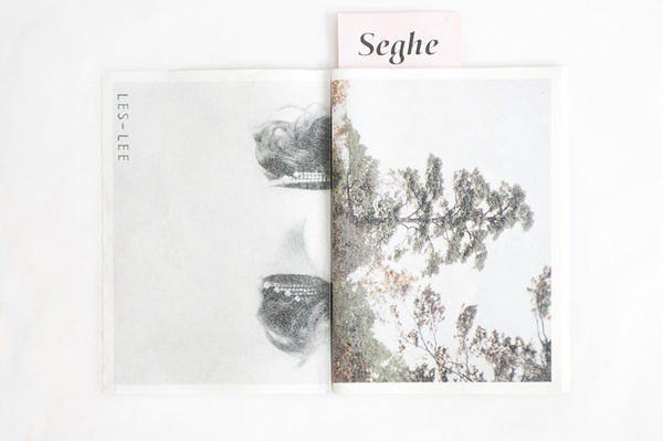 Seghe Massimiliano Pace #design #sexuality #erotic #book #seghe #sex #editorial