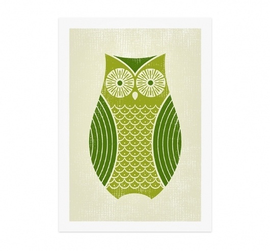 owl_905.jpg (JPEG Image, 905x842 pixels) - Scaled (86%) #owls