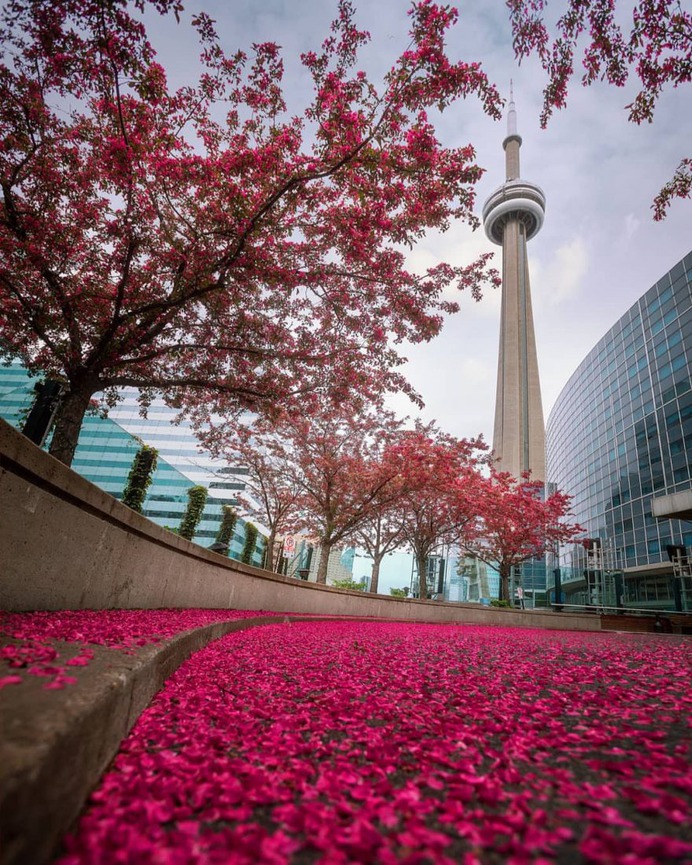 Wonderful Cityscapes and Landscapes in Toronto by Argen Elezi