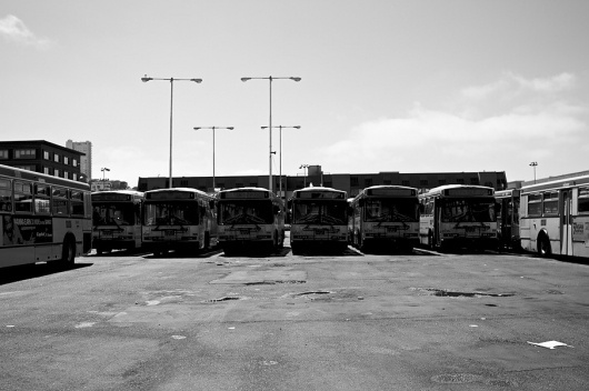 Photography - David Mcleod #photography