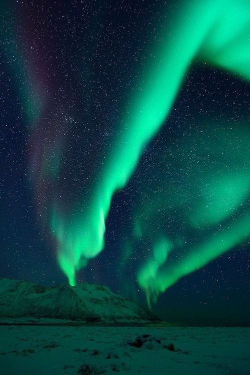 Aurora #aurora #sky #northern #color #lights #space #borealis
