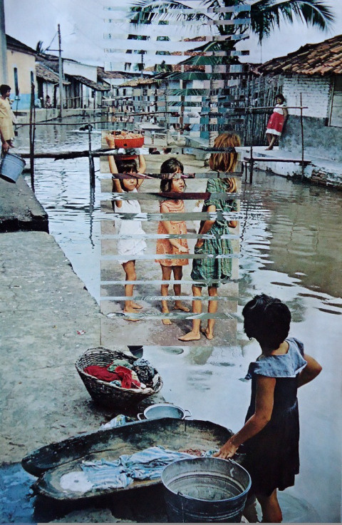 Dessi Terzieva | PICDIT #design #collage #art