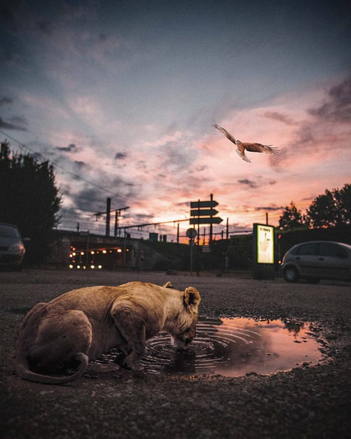 Dreamlike Photo Manipulations by Hansruedi Ramsauer