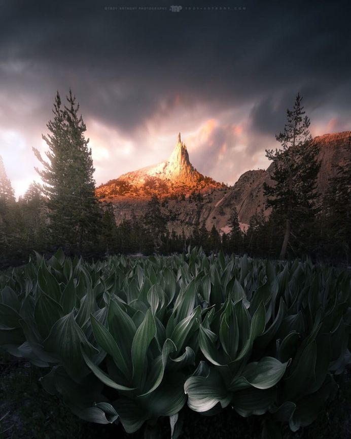 Long Exposure Landscape Photography by Troy-Anthony Saunders