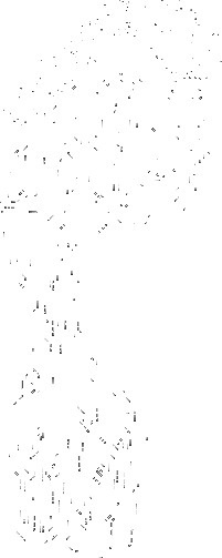 Dribbble---digital-footprint #logo #animation #foot