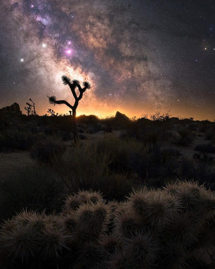 Incredible Milky Way and Astrophotography by Chris Terstegge