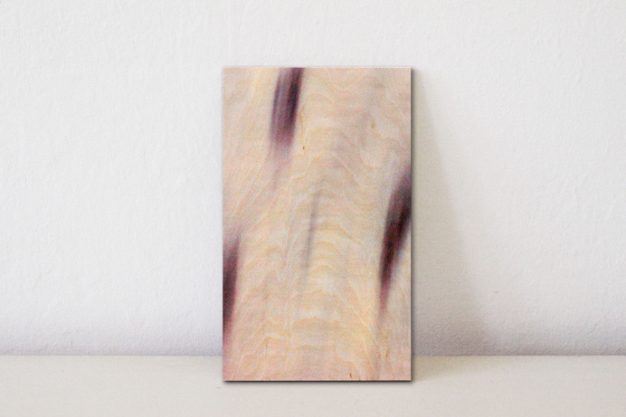 print on wood, birch, birches, art