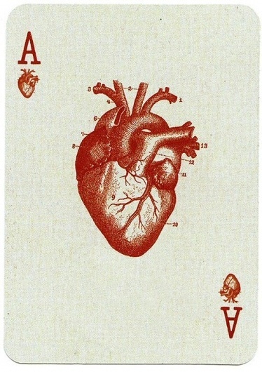 tumblr_l8abrljrWG1qa4pypo1_500.jpg 470×666 pixels #ace #card