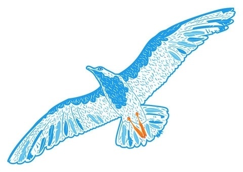 FFFFOUND! | sodavekt #illustration #seagull