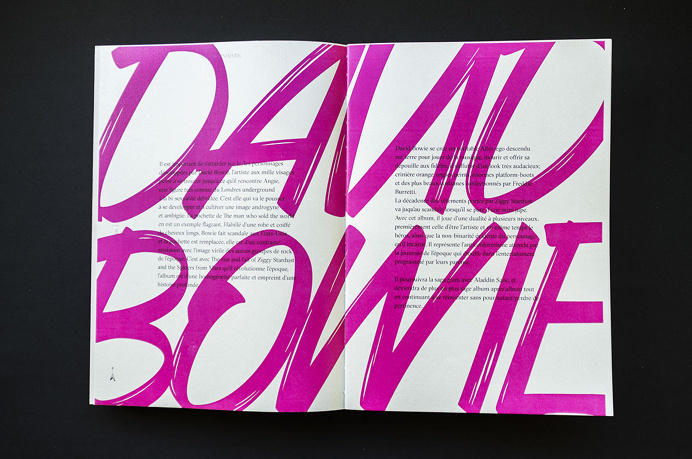DAVID BOWIE - "Ladies, gentlemen...Others" Memoir about gender evolution in fashion #gender #editorial #davidbowie #book #fashion #bowie #ed