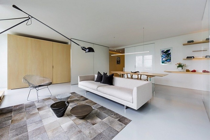 Lake Shore Drive Studio by Vladimir Radutny Architects