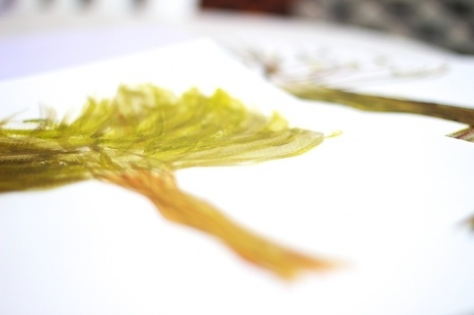Progettazione11, metodologia della progettazione #paint #nature #tree #green
