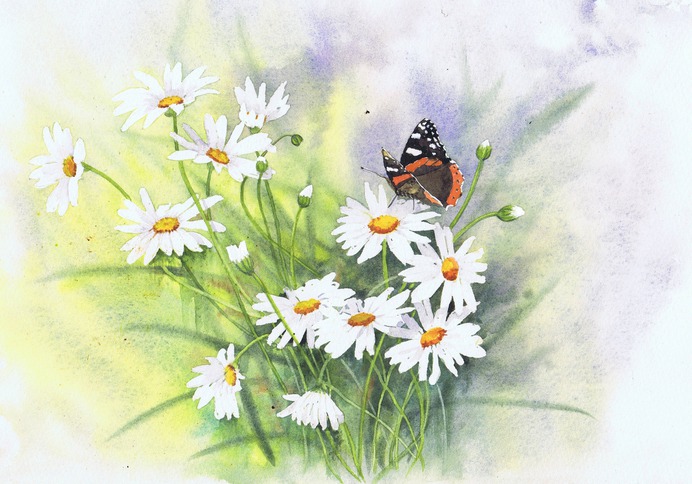daisy painting & daisy paint by number #painting