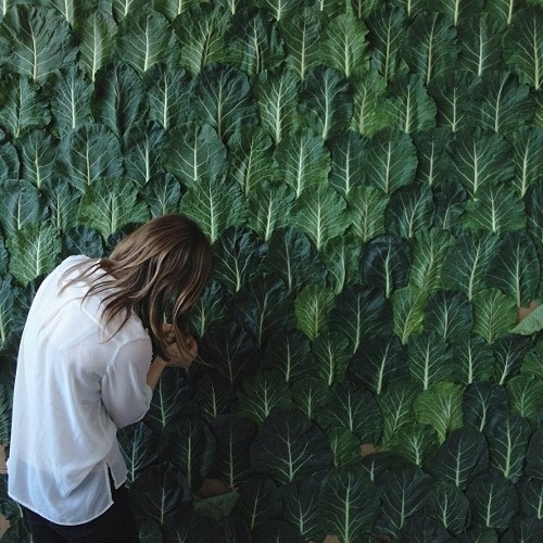 Likes | Tumblr #inspiration