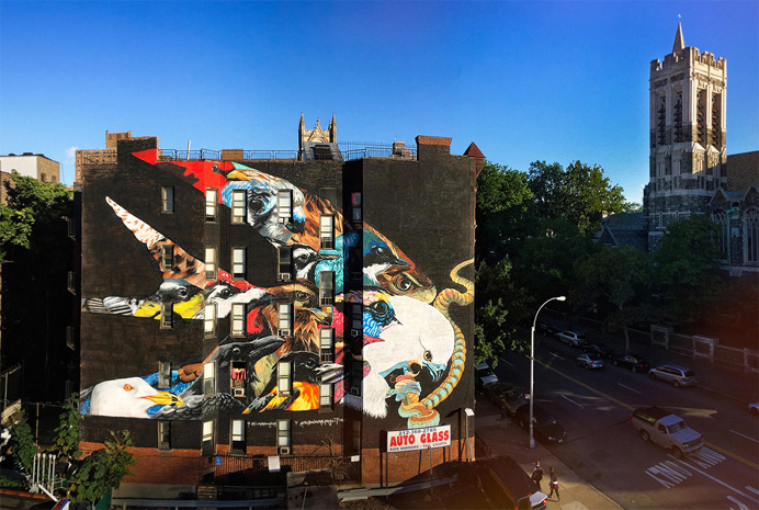 bird, mural, hawk, abstract, wall, building, color