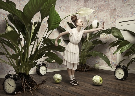 Monki Styles on the Behance Network #photography