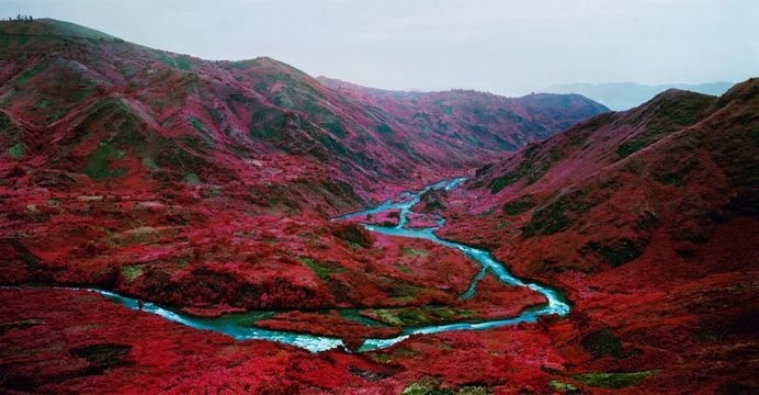 Fine Art Landscapes by Richard Mosse #inspiration #photography #landscape