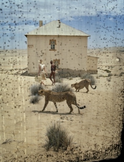 Tim Walker Photography #tim #photography #walker