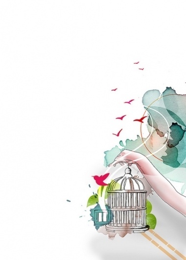 MÃ£os Ã obra #illustration #bird