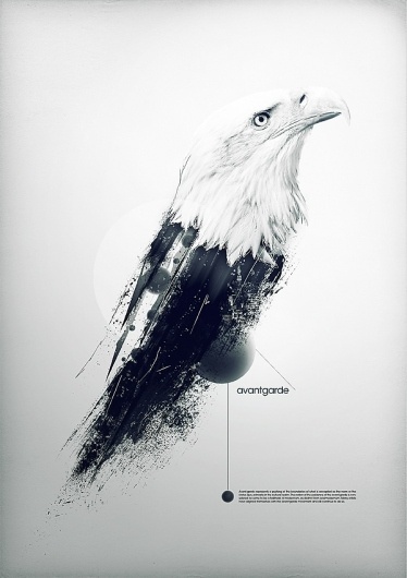 avantgarde on the Behance Network #poster #art #bird