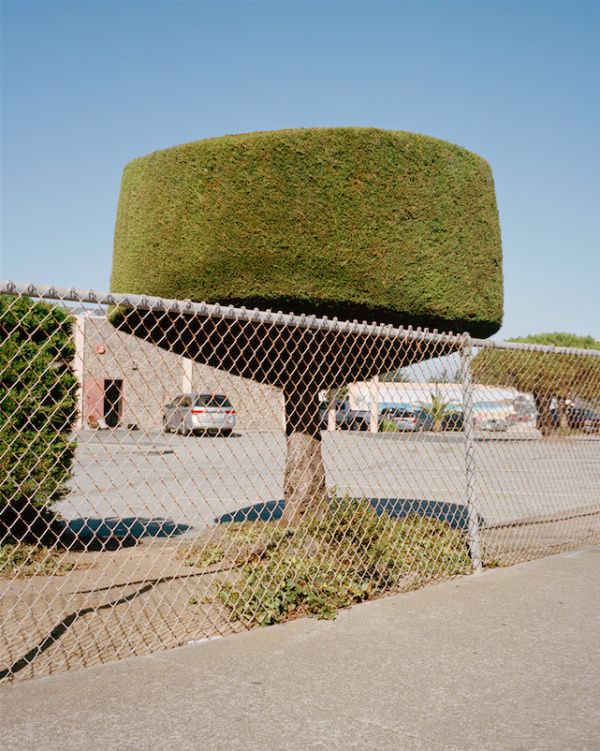 Marc Alcock | PICDIT