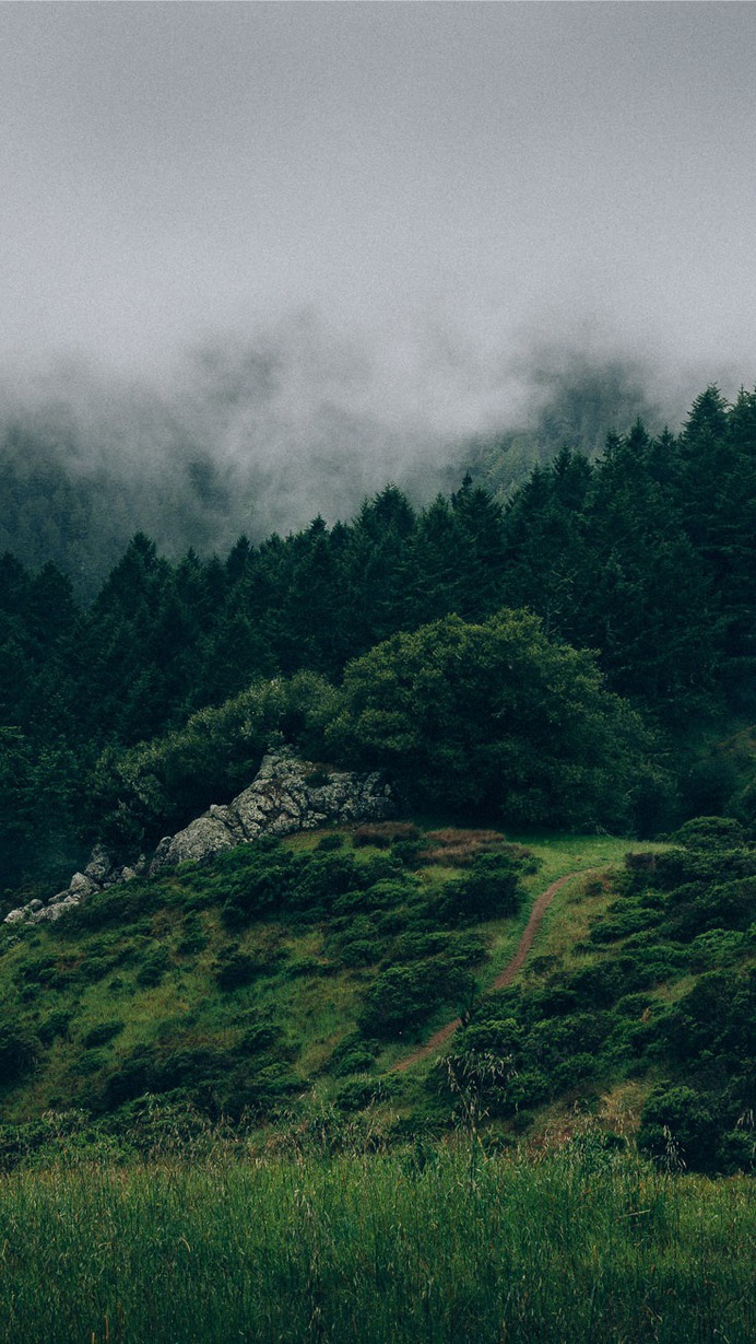 Beautiful Back to Nature iPhone 7 Wallpaper