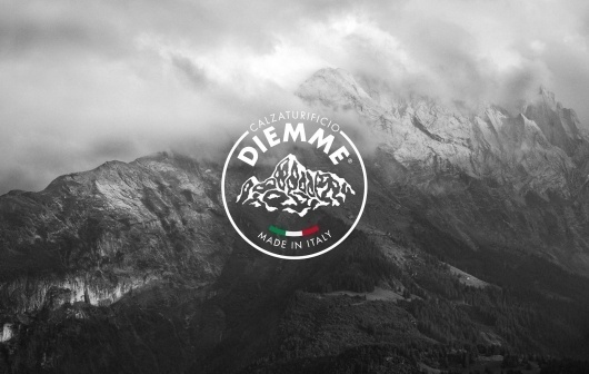 DI-Frontpage_1988x1262px.jpg 1800×1143 pixels #fashion #logo #identity #footwear