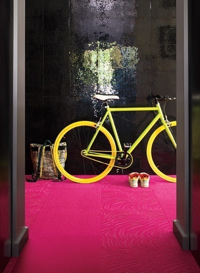 Bold Color/ Sleek Glamour #black #floor #fuccia #and #walls