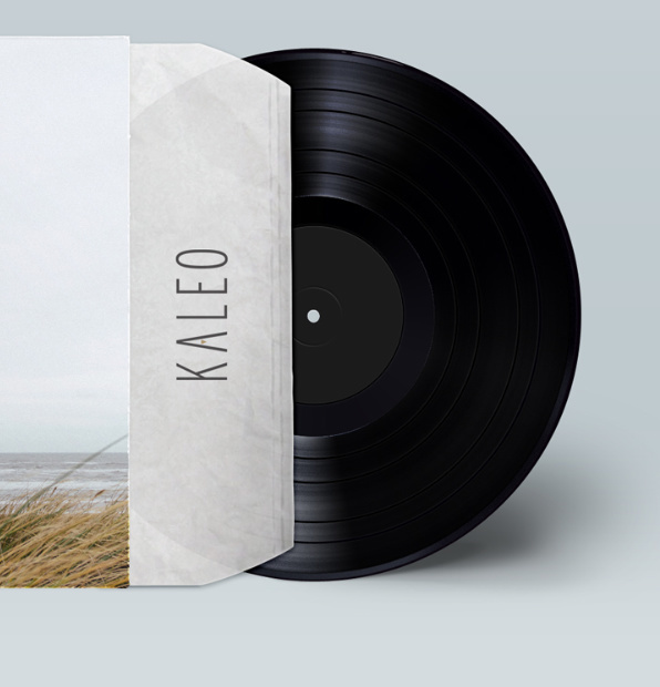 kaleo band poster, band, poster design, poster, music album, fan art, album, music, graphic design, simple design, clean design, nature, nat