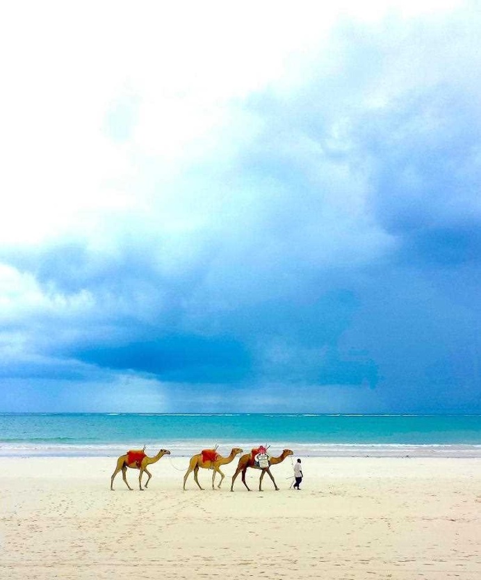 The Winners of the National Geographic Kids International Photography Contest