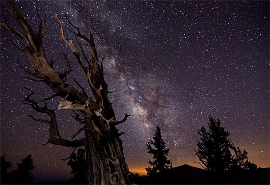 TimeScapes EPK: Electronic Press Kit #lowe #tree #astronomy #timescapes #tom #stars #stump