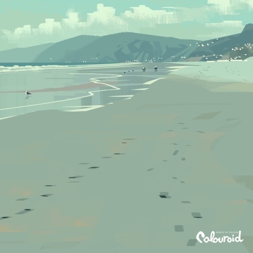 kevin dart #hue #birds #blue #beach #mountains