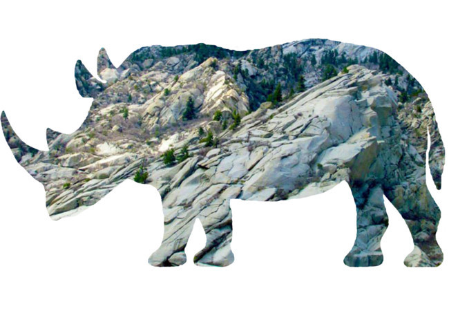 The outline a Rhino filled with the image of the side of a mountain.