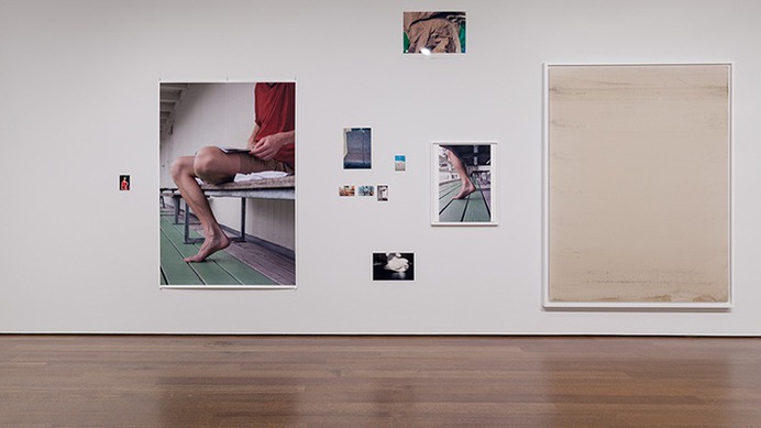 A Conversation with Wolfgang Tillmans | Index Magazine | Harvard Art Museums