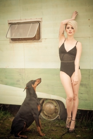 Estétique du Minimum #dog