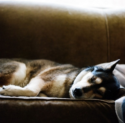 Jonathan Levitt | Photography #levitt #photography #jonathan