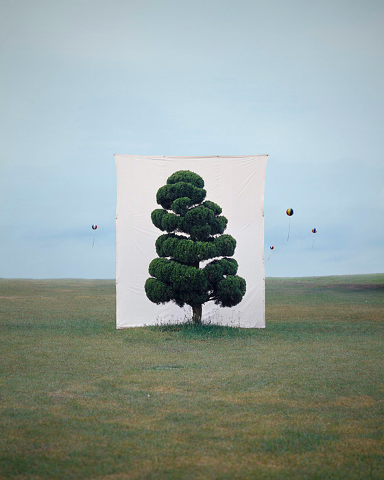 I secretly think reality exists so we can speculate about it but does it float #frame #tree #sky #grass #photography #portrait