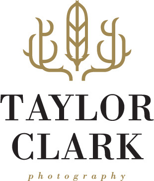 Taylor Clark Photography logo. #logo #design #identity #photography #mysterymeatdesign #mysterymeat