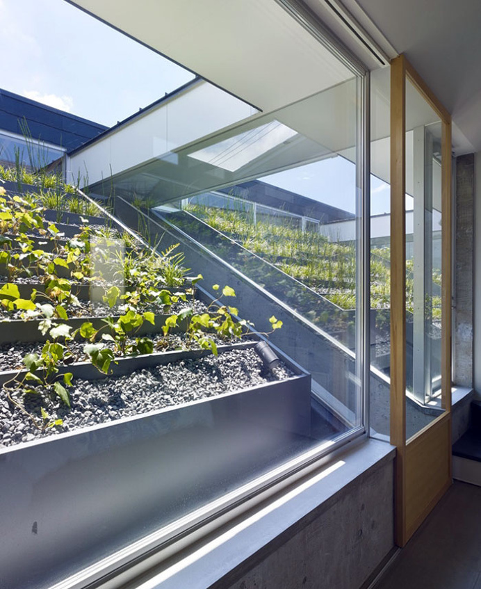 Roof Garden - #architecture, #home, #decor, #garden