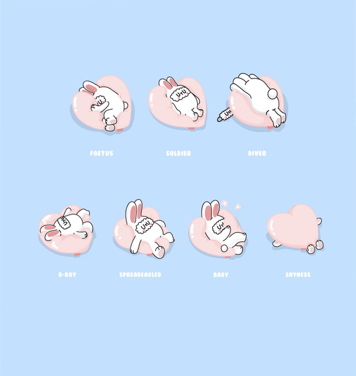 What is your Sleeping Pose? -Sleeping RABI Character