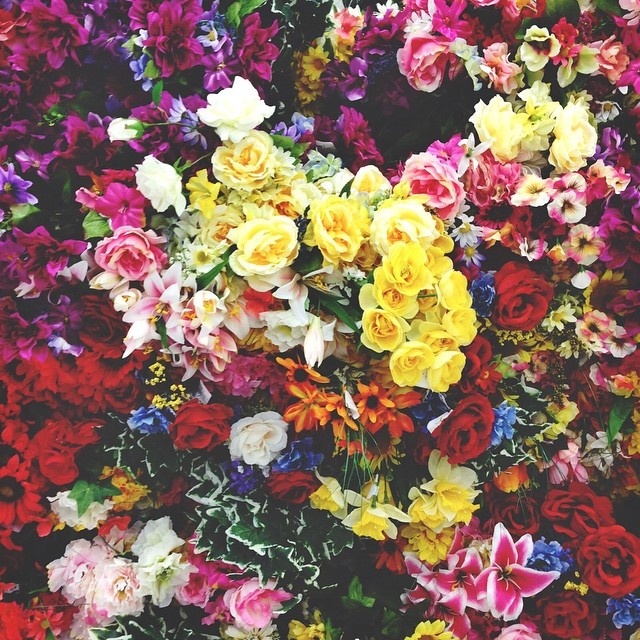#flowers #Instagram