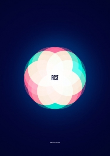 Andaur Studios / Everyday #spectre #rose #color #colors #poster