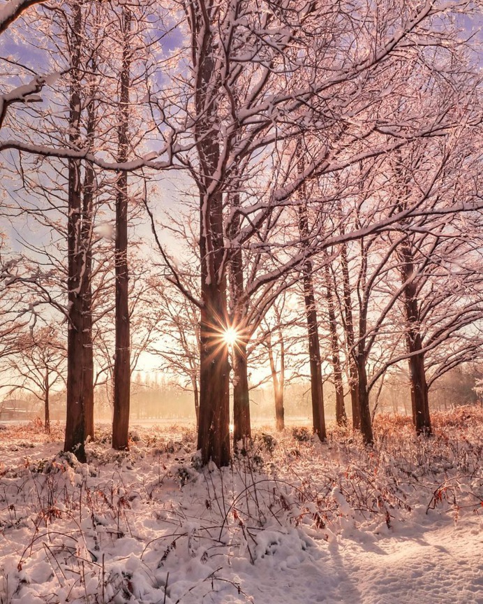 Amazing Nature Photography in Japan by Makiko Samejima
