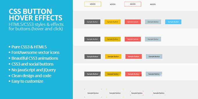 CSS Button Hover Effects
