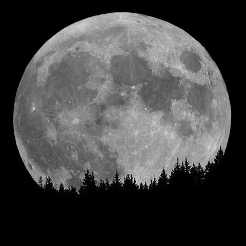 FFFFOUND! | DETHJUNKIE* #moon